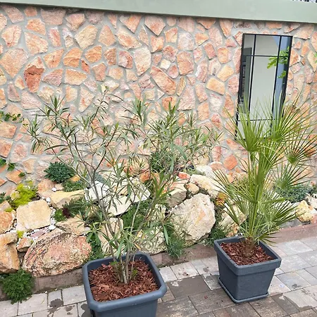 Kispolgar Vendeghaz