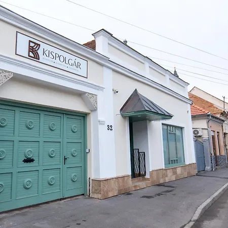 Kispolgar Vendeghaz * Sárospatak